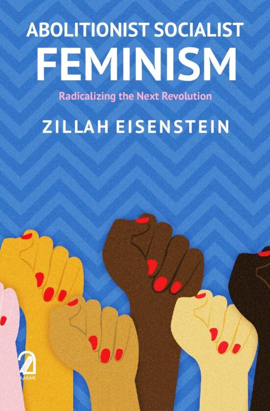 ABOLITIONIST SOCIALIST FEMINISM: Radicalizing the Next Revolution